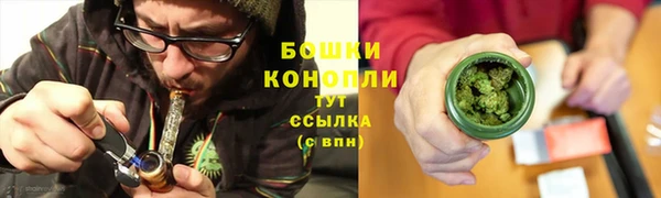 PSILOCYBIN Алексин