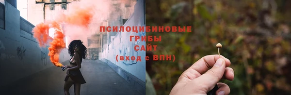 гидра Алзамай