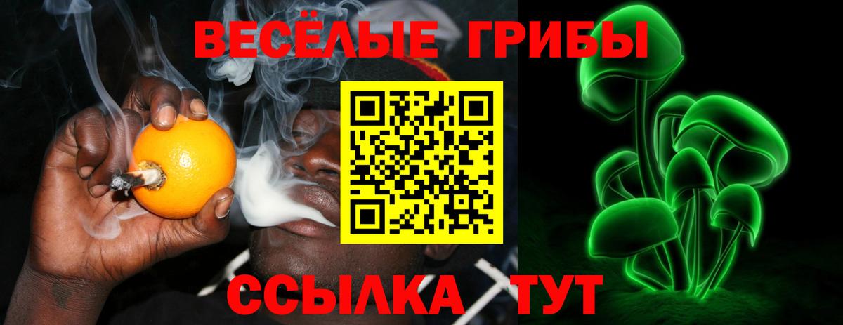 Псилоцибиновые грибы мухоморы  Галлюциногенные грибы Psilocybine cubensis  Вход с VPN  Светлоград 